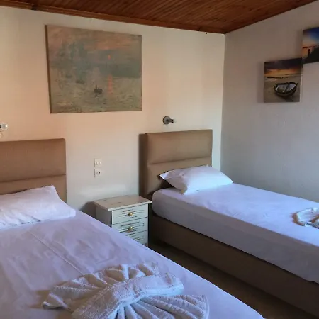 House Vogiatzi * مدينة سكياثوس