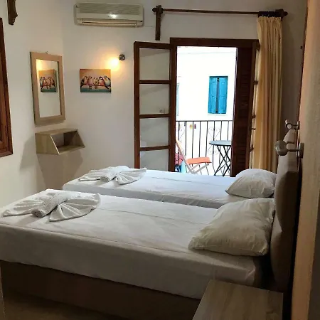 بيت ضيافة House Vogiatzi مدينة سكياثوس